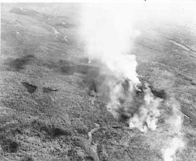 Forest Fire, circa 1948 (4/14)