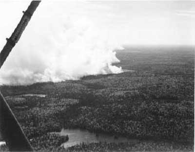 Forest Fire, circa 1948 (5/14)