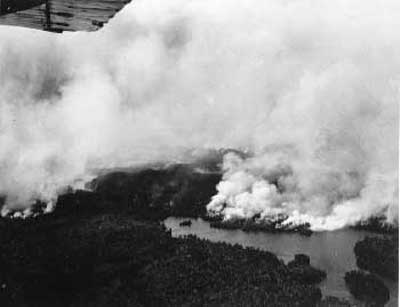 Forest Fire, circa 1948 (6/14)