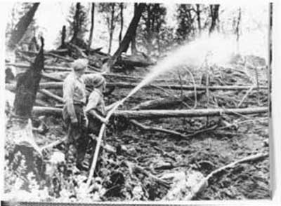 Forest Fire, circa 1948 (11/14)