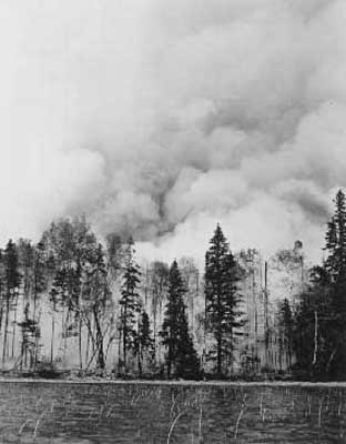 Forest Fire, circa 1948 (13/14)