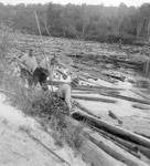 Aguasabon River - Freeing the Log Jam