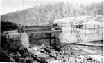 Control dam log chute