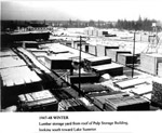 Lumber Storage Yard at Terrace Bay (1947)