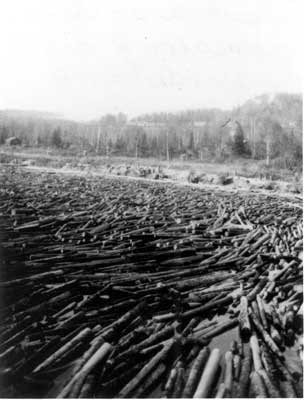 Pulpwood in the Aguasabon River