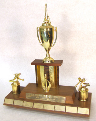 Curling Trophy