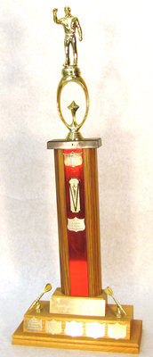 Darts Trophy