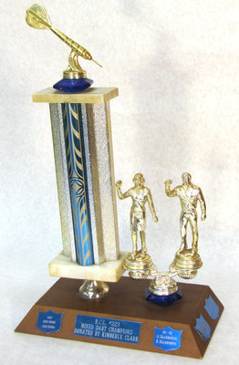 Darts Trophy