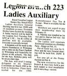 Ladies Legion Auxiliary Branch 223