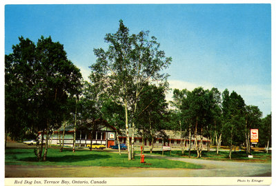 Red Dog Inn, Terrace Bay Postcard