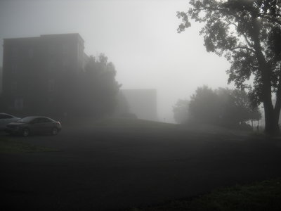 Foggy Morning