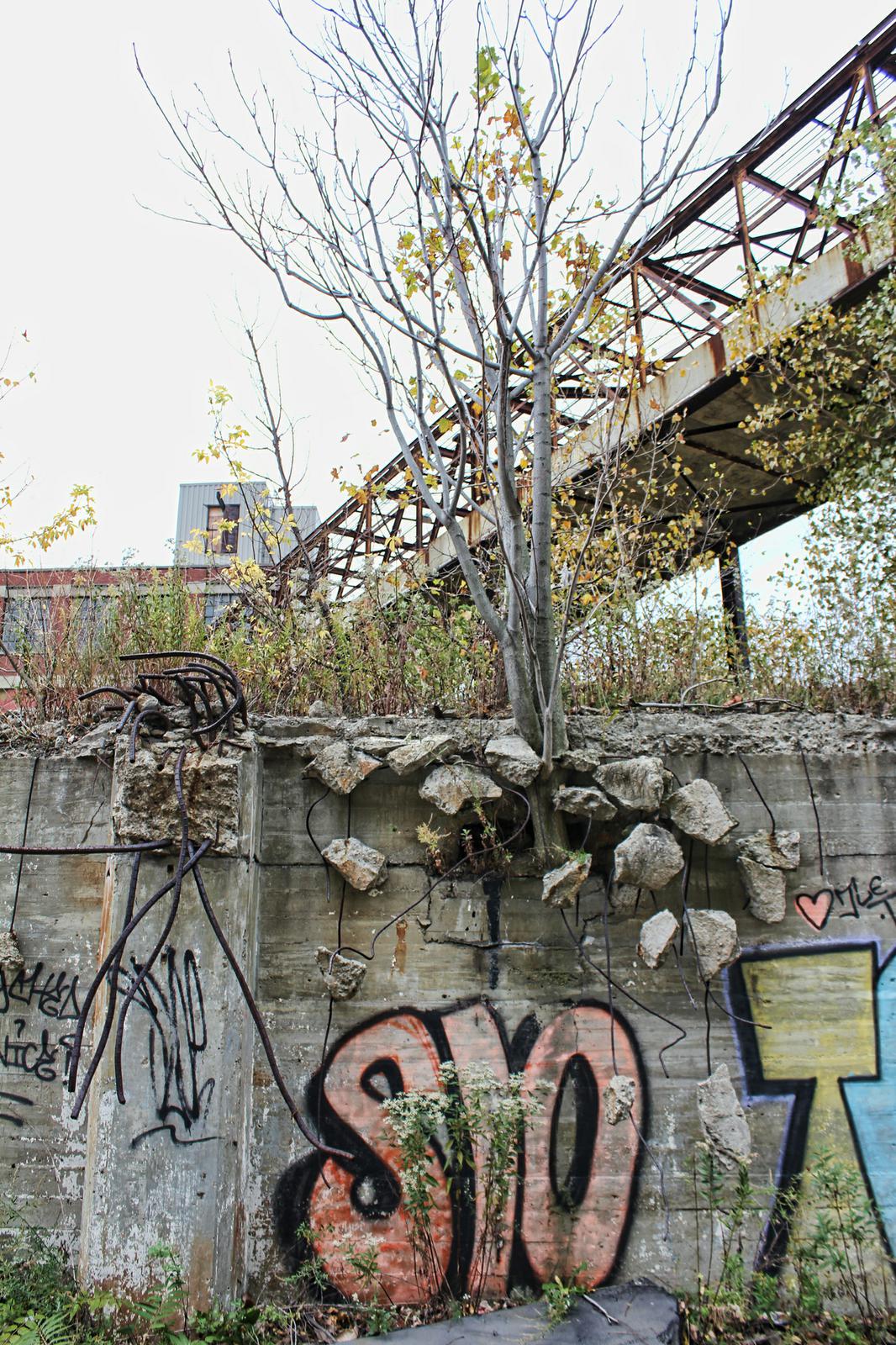 Packard Plant