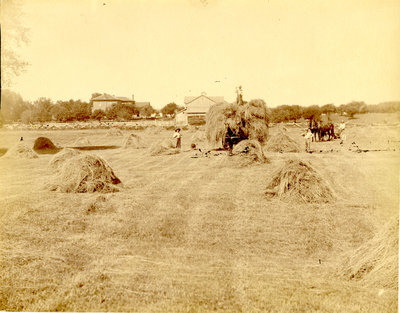 Ketcheson Farming