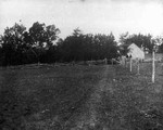 Old home (Alexander MacNeill's) - distant gable view, ca.1890's.  Cavendish, P.E.I.