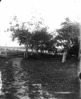 View of Cherry Tree Curve, old home, ca.1890's.  Cavendish, P.E.I.