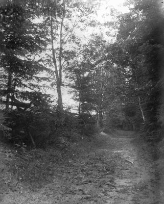 Lovers' Lane, ca.1890's.  Cavendish, P.E.I.