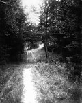 Lovers' Lane, second bridge, ca.1890's.  Cavendish, P.E.I.