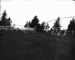 View of gate in Hall Field, ca.1890's.  Cavendish, P.E.I.