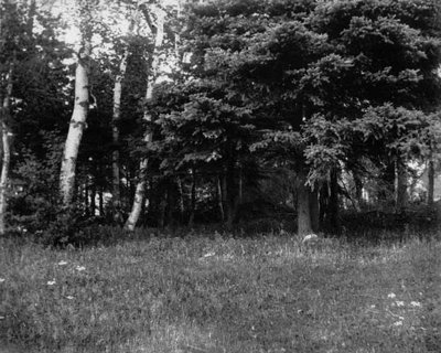 View of old playhouse, ca.1890's.  Cavendish, P.E.I.