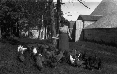 Lucy Maud Montgomery's Aunt Annie Campbell, ca.1900's.