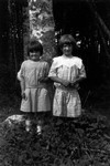 Maudie & Georgie Campbell as little girls, ca.1890's.  Park Corner, P.E.I.