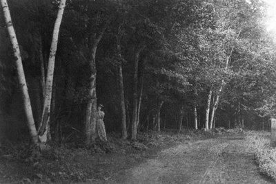 Frede Campbell posed beside tree in lane, ca.1890's.  Park Corner, P.E.I.