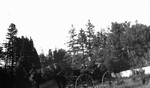 Man with horse & buggy.  Park Corner, P.E.I.