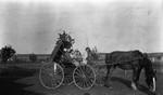 Group of children (Chester) on horse & buggy, 1915.  Leaskdale, ON.