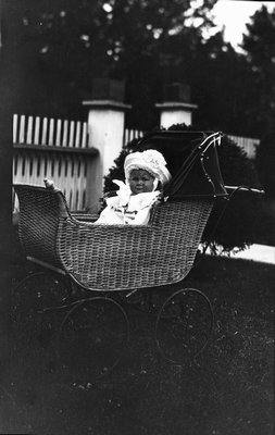 Chester in his carriage, ca.1913.  Leaskdale, ON.