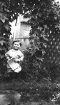 Chester as a toddler in garden, Leaskdale, ON.