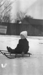 Chester on a toboggan in the snow, Leaskdale, ON.