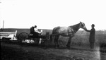 Stuart Macdonald in buggy, ca.1919.  Leaskdale, ON. (?).