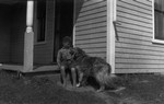 Stuart Macdonald with Mike the dog, age 7 3/4, ca.1923.  Cavendish, P.E.I.