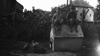 Stuart & Chester sitting on a dog kennel, chickens in foreground, Leaskdale, ON.