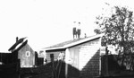 Stuart & Chester standing on the roof of a shed with a dog.