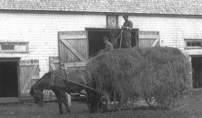 Stuart, Chester and Uncle Alex MacNeill, ca.1920.  Cavendish, P.E.I.