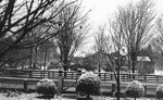 Front yard of Leaskdale Manse, Leaskdale, ON