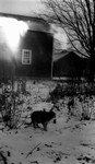 Pat on snowy lawn.