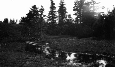 Brook on Alex MacNeill's farm, Cavendish, P.E.I.