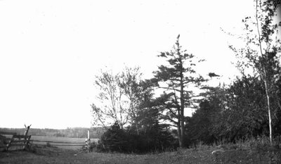 Field, Cavendish, P.E.I.