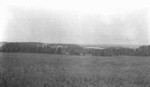 Field, Cavendish, P.E.I.