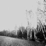 View of Lover's Lane, Cavendish, P.E.I.