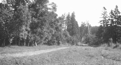 Path, Park Corner, P.E.I.