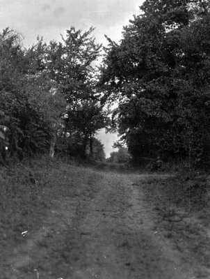 Lane way, Old Woolner house, Dunwich, England (Honeymoon, 1911)