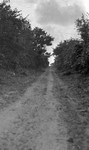 Country road (Honeymoon, 1911)