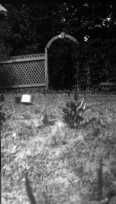 Gate and cat in yard.  Leaskdale, ON.