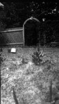 Gate and cat in yard.  Leaskdale, ON.