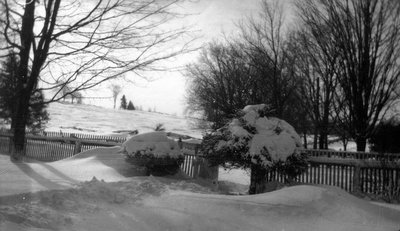 Lawn in Winter.  Leaskdale, ON.