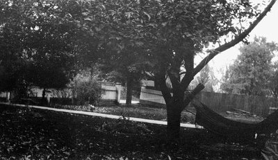 Lawn with Hammock.  Leaskdale, ON.