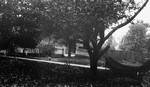 Lawn with Hammock.  Leaskdale, ON.